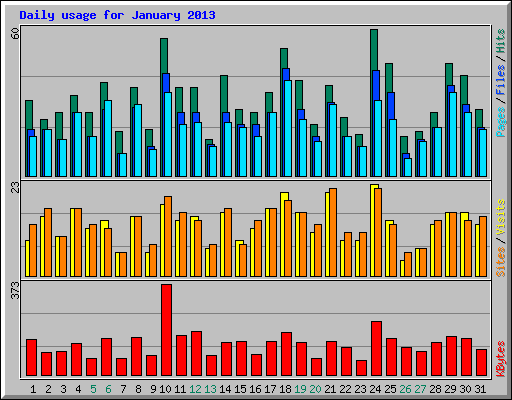 Daily usage for January 2013