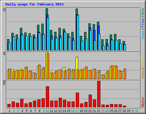 Daily usage for February 2013