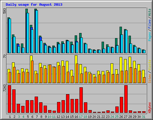 Daily usage for August 2013