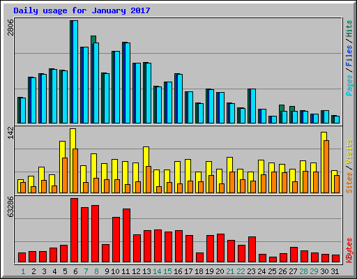 Daily usage for January 2017