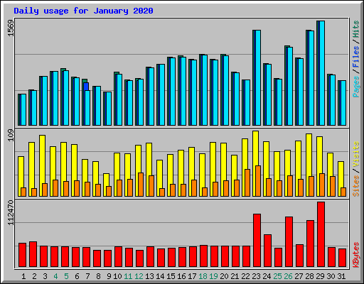 Daily usage for January 2020