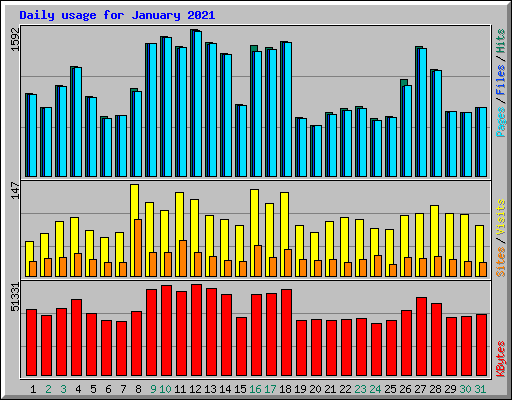 Daily usage for January 2021