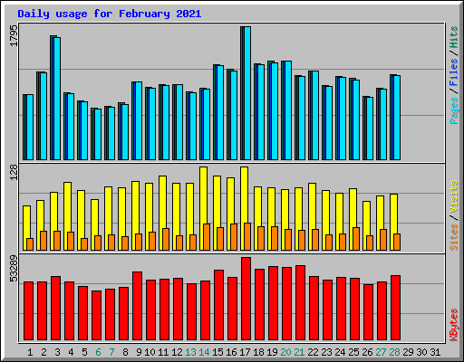 Daily usage for February 2021