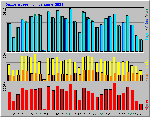 Daily usage for January 2023