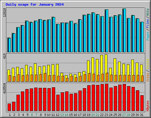 Daily usage for January 2024