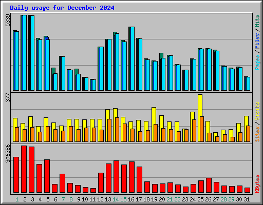Daily usage for December 2024