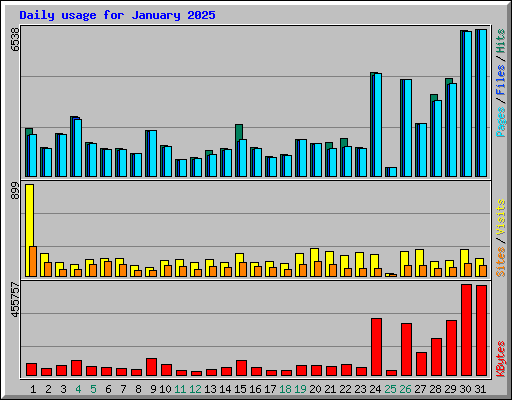 Daily usage for January 2025