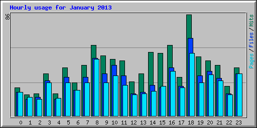 Hourly usage for January 2013