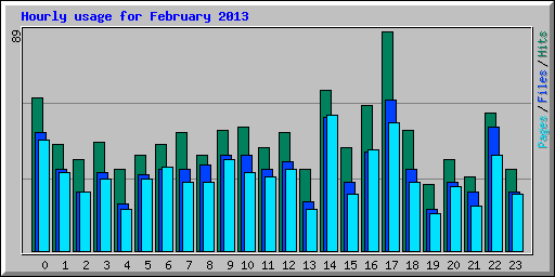 Hourly usage for February 2013