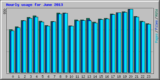 Hourly usage for June 2013