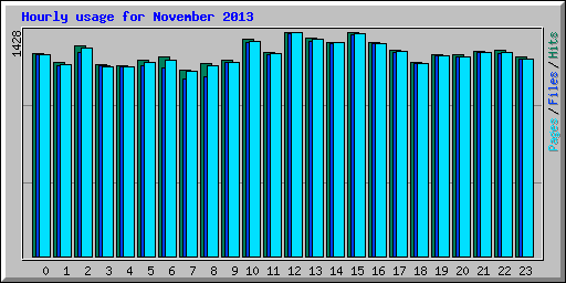 Hourly usage for November 2013