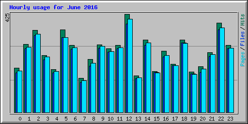 Hourly usage for June 2016