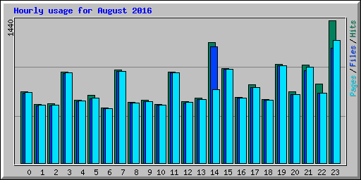 Hourly usage for August 2016