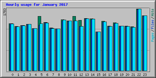 Hourly usage for January 2017