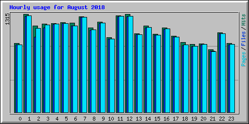 Hourly usage for August 2018