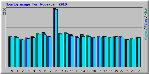 Hourly usage for November 2018