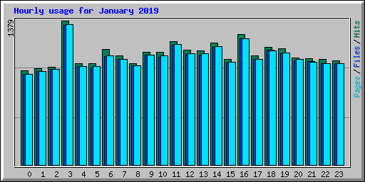 Hourly usage for January 2019