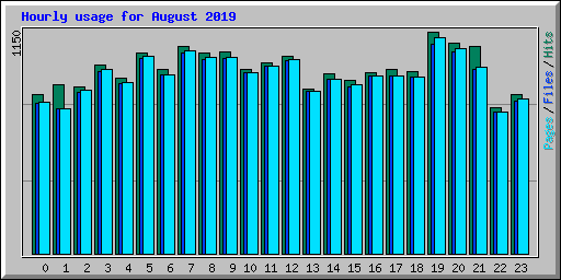 Hourly usage for August 2019