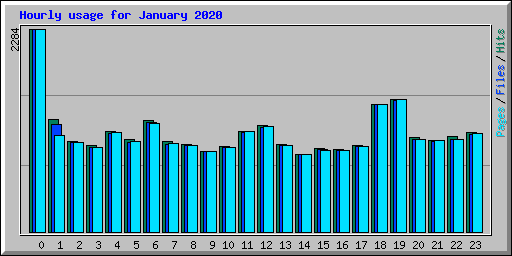 Hourly usage for January 2020