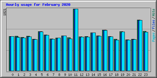 Hourly usage for February 2020