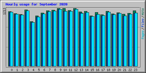 Hourly usage for September 2020