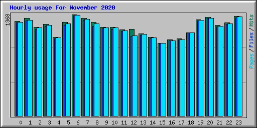 Hourly usage for November 2020