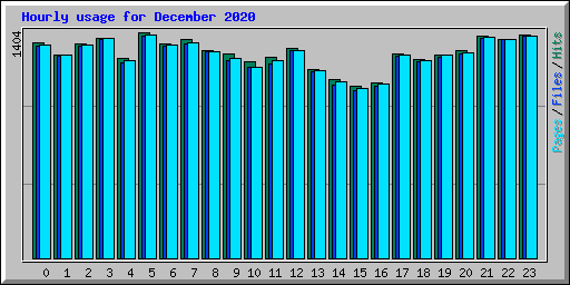 Hourly usage for December 2020