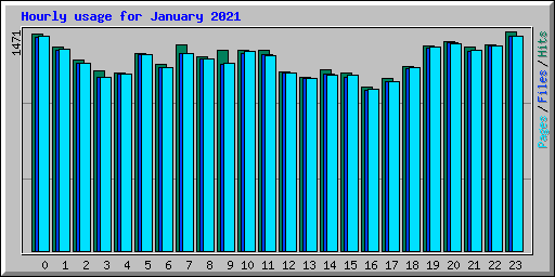 Hourly usage for January 2021