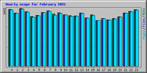 Hourly usage for February 2021