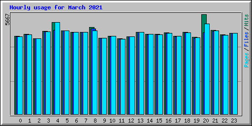 Hourly usage for March 2021