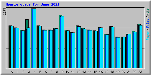 Hourly usage for June 2021