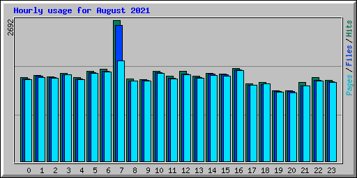 Hourly usage for August 2021