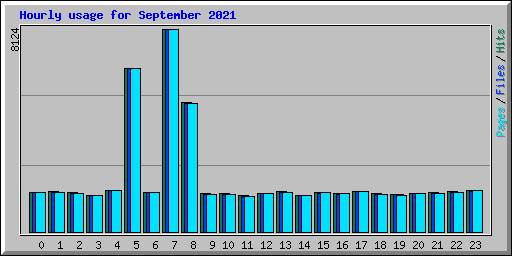 Hourly usage for September 2021