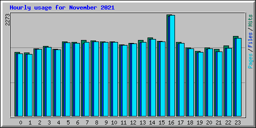 Hourly usage for November 2021