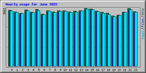 Hourly usage for June 2022