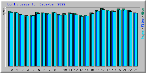 Hourly usage for December 2022