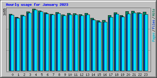 Hourly usage for January 2023