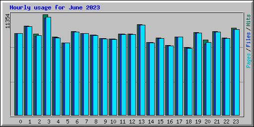 Hourly usage for June 2023