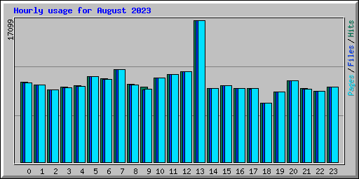 Hourly usage for August 2023