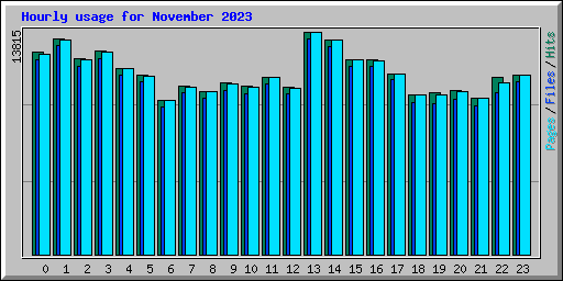 Hourly usage for November 2023