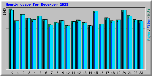 Hourly usage for December 2023