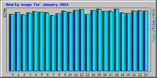 Hourly usage for January 2024