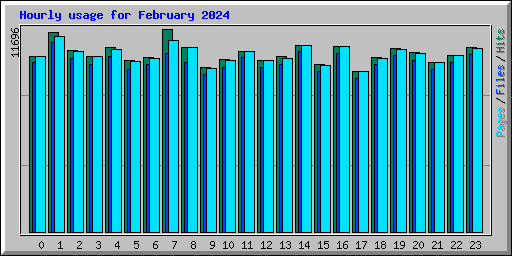 Hourly usage for February 2024