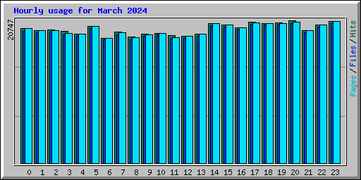 Hourly usage for March 2024