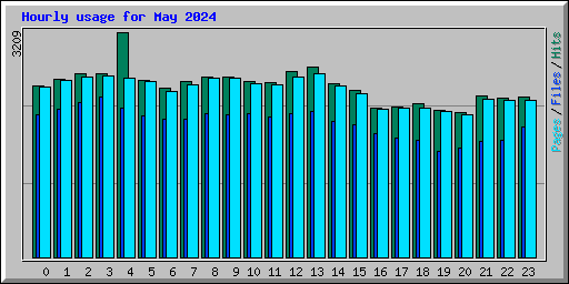 Hourly usage for May 2024