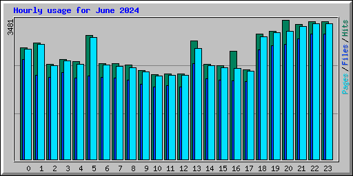 Hourly usage for June 2024