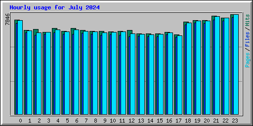 Hourly usage for July 2024