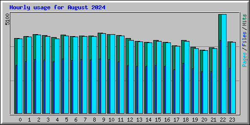 Hourly usage for August 2024