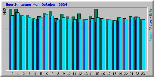 Hourly usage for October 2024