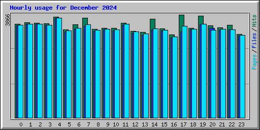 Hourly usage for December 2024